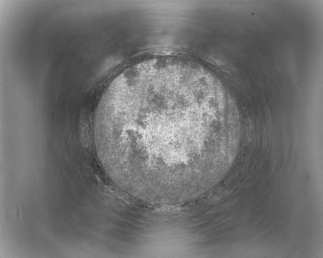 X0000063451446200602171845