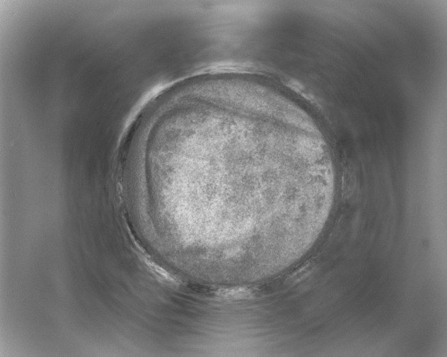 X0000063451454200602171845