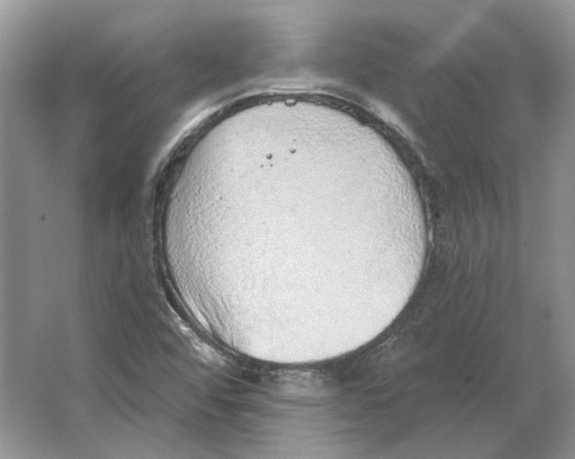 X0000063451456200602171845