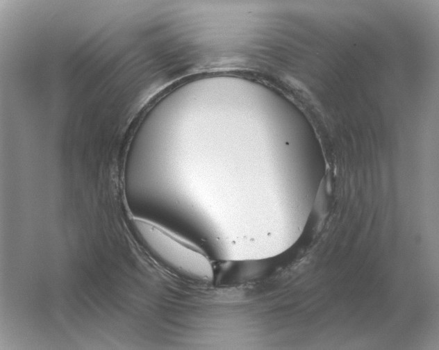 X0000063451457200602171844