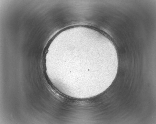 X0000063451460200602171844