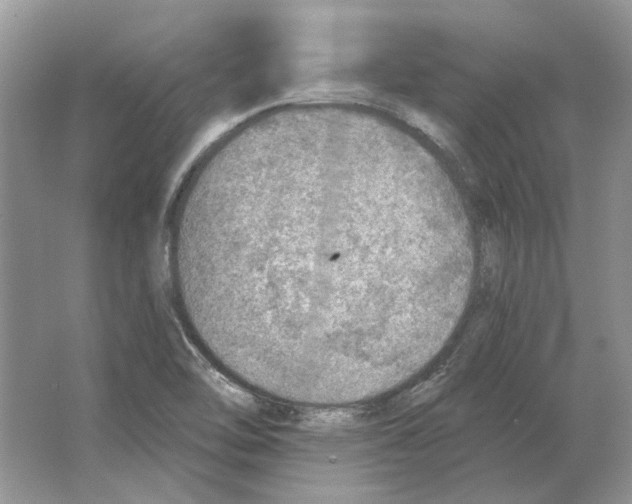 X0000063451462200602171844