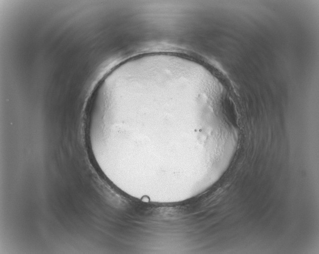 X0000063451463200602171844