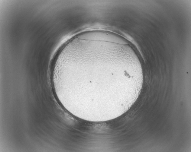 X0000063451464200602171844