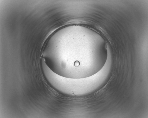 X0000063451465200602171844