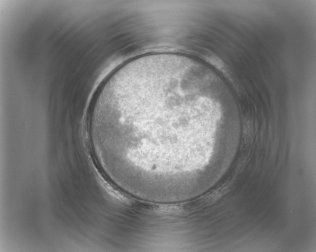 X0000063451466200602171844