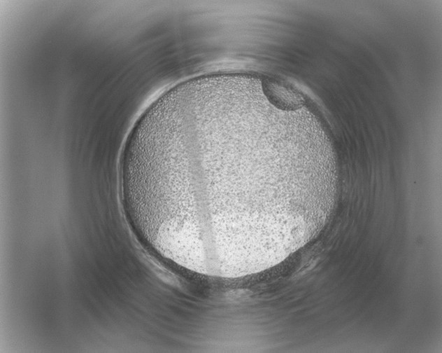 X0000063451467200602171844