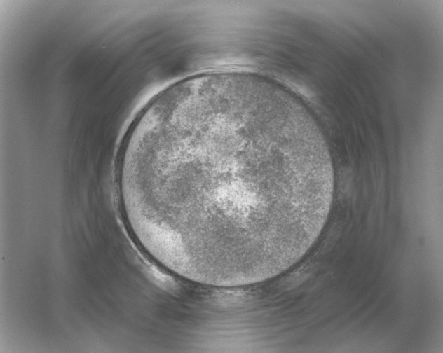 X0000063451470200602171844