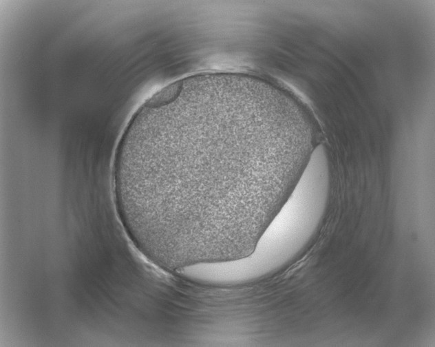 X0000063451471200602171844