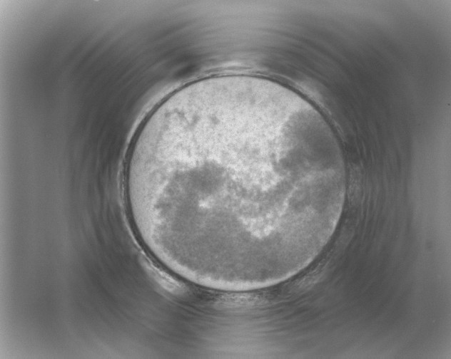 X0000063451474200602171844