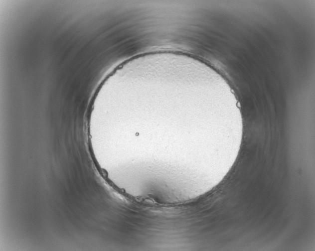 X0000063451476200602171844