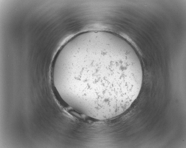 X0000063451477200602171844