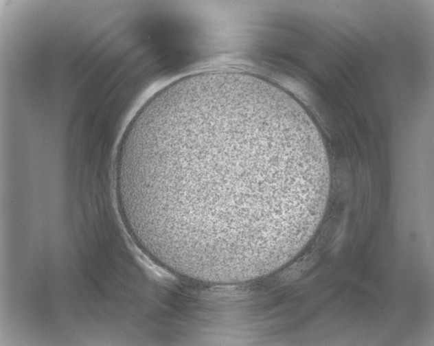 X0000063451478200602171844