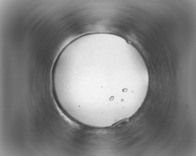 X0000063451479200602171844