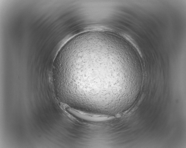 X0000063451481200602171844