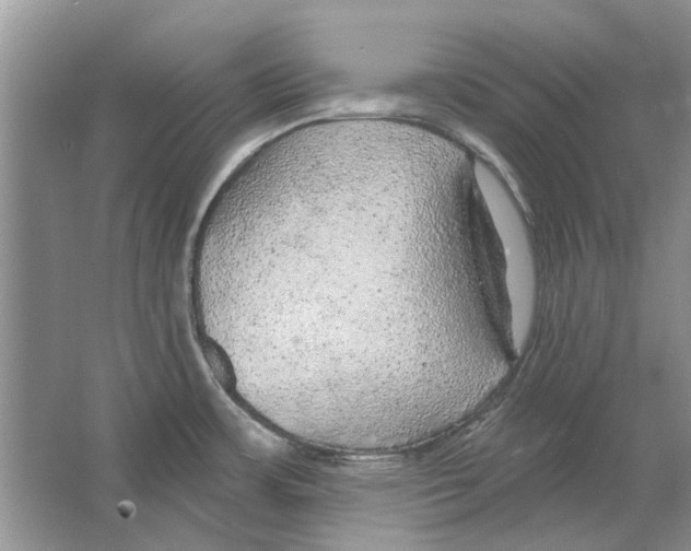 X0000063451483200602171844