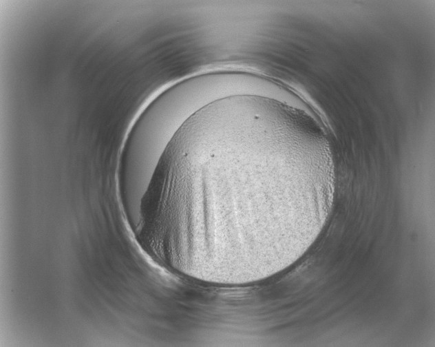 X0000063451484200602171844