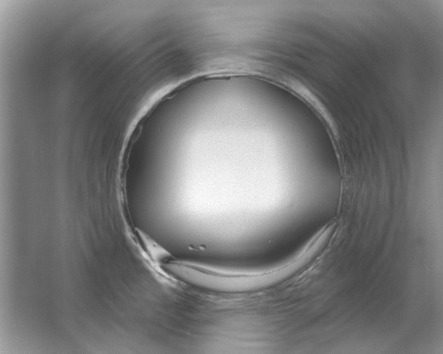 X0000063451485200602171844