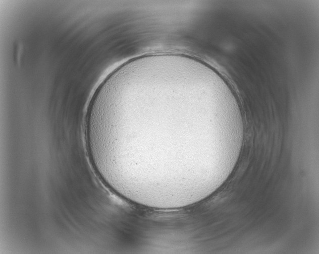 X0000063451486200602171844