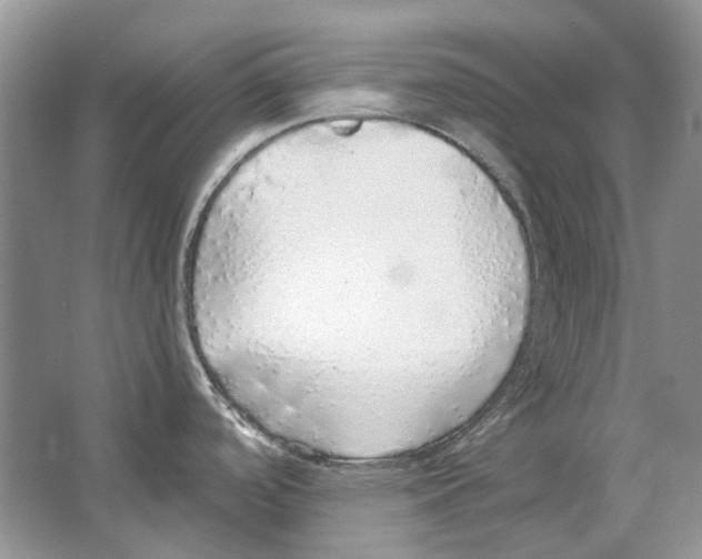 X0000063451488200602171844