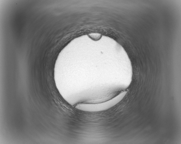 X0000063451489200602171843