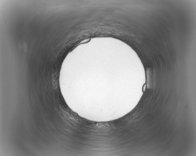 X0000063451491200602171843