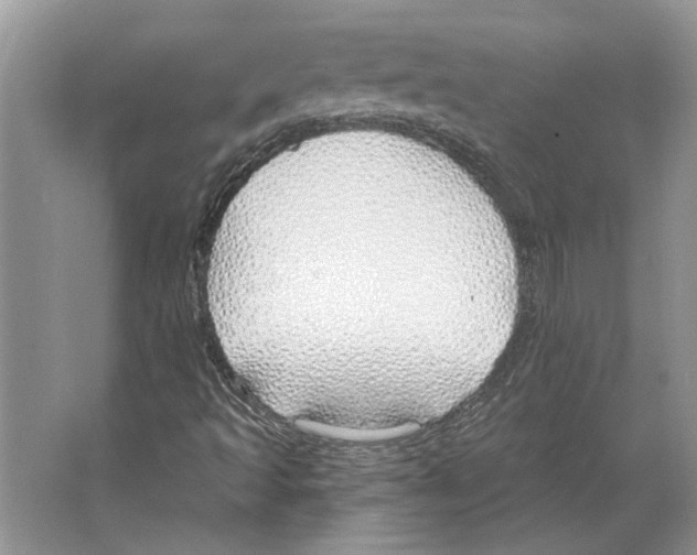 X0000063451493200602171843