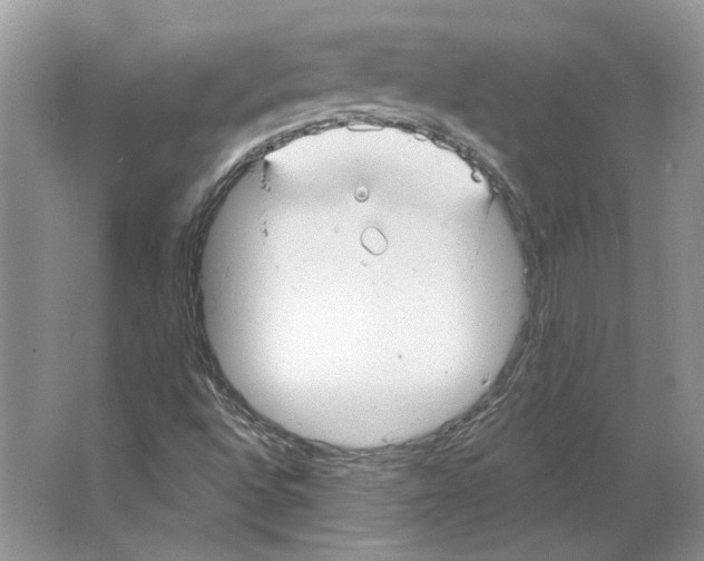 X0000063451496200602171843