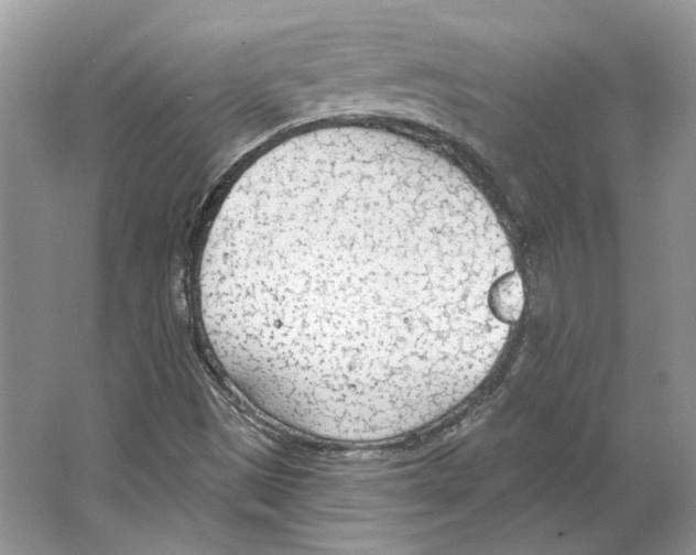 X0000063451497200602171843