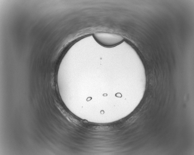 X0000063451499200602171843