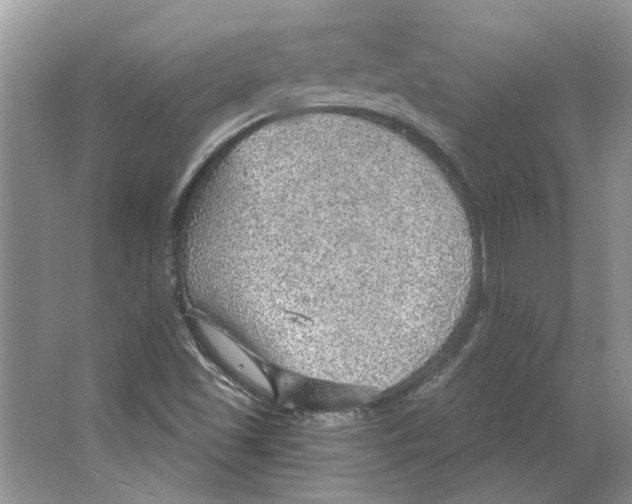 X0000063451501200602171843