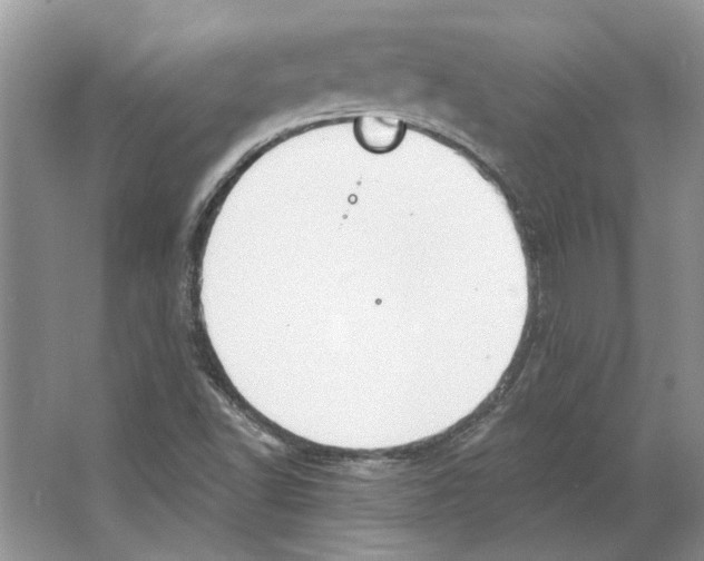 X0000063451502200602171843