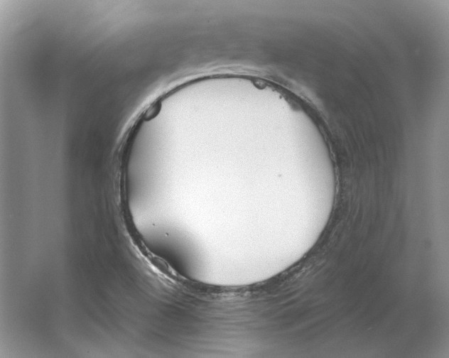 X0000063451504200602171843