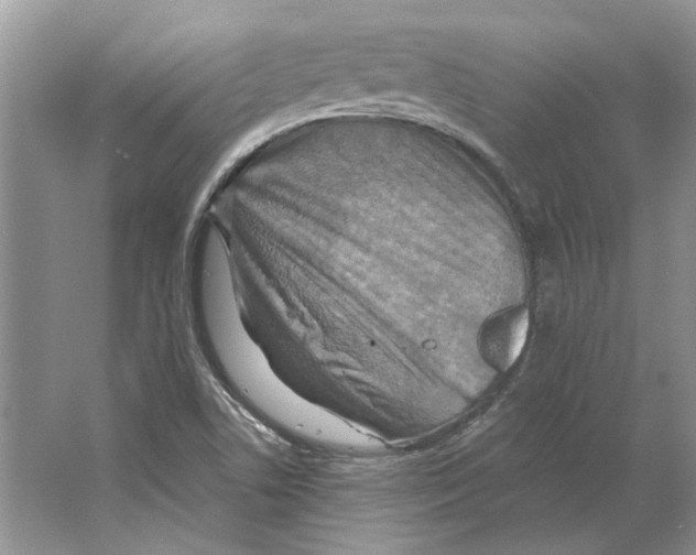 X0000063451506200602171843