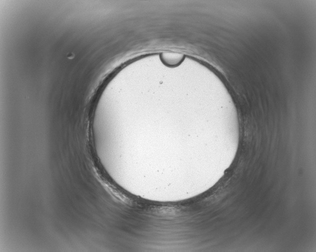 X0000063451507200602171843