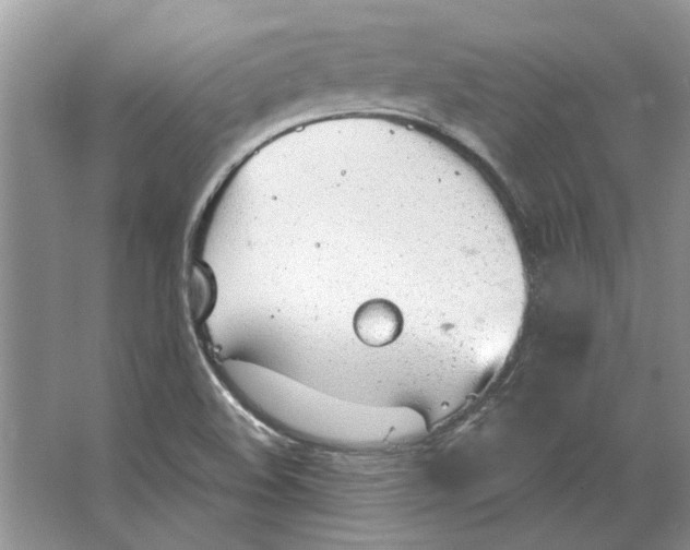 X0000063451508200602171843