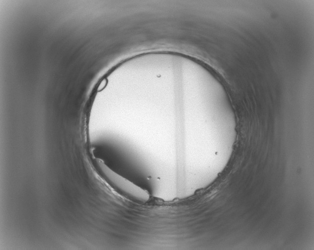 X0000063451510200602171843