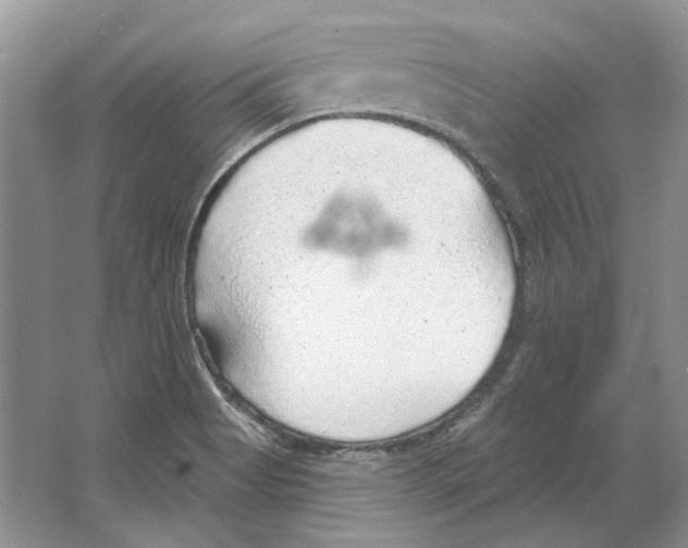 X0000063451513200602171843