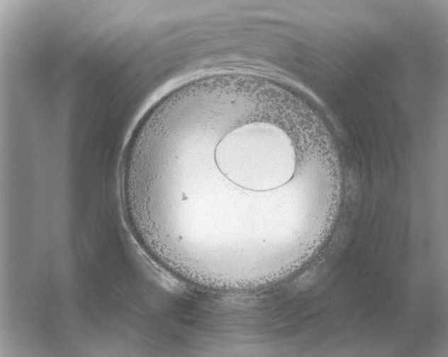 X0000063451514200602171844