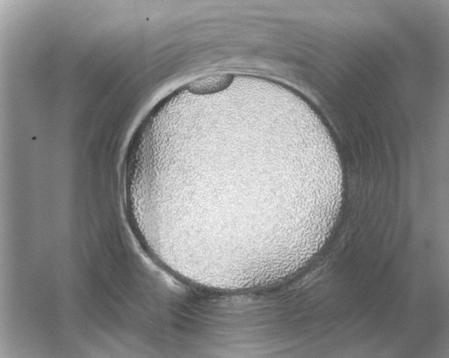 X0000063451515200602171844