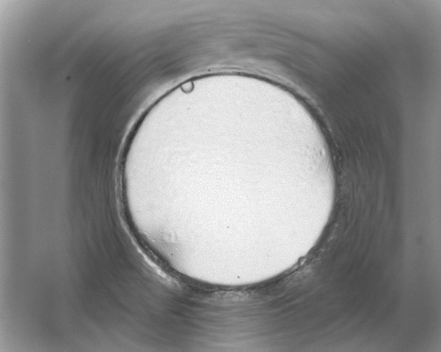 X0000063451517200602171844