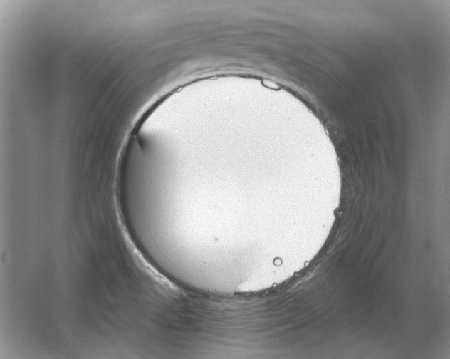 X0000063451518200602171844