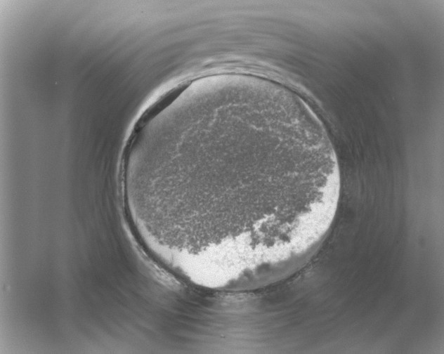 X0000063451522200602171844