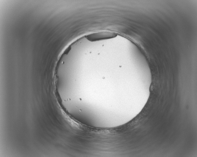 X0000063451524200602171844