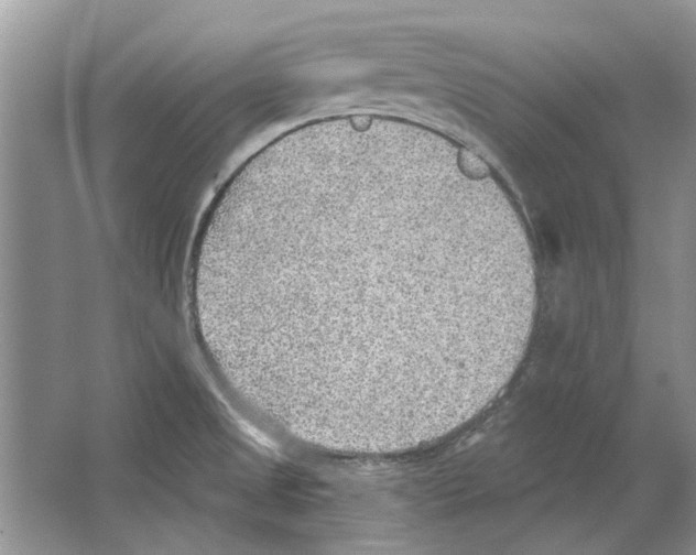 X0000063451525200602171844