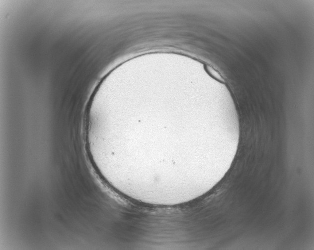 X0000063451526200602171844