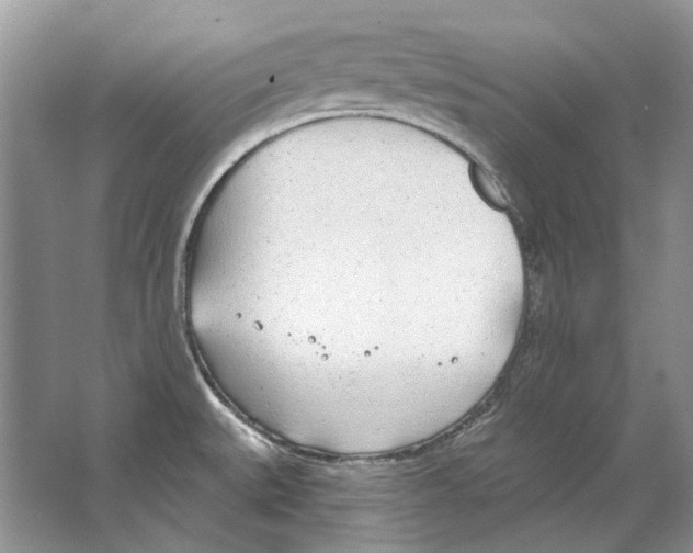 X0000063451527200602171844