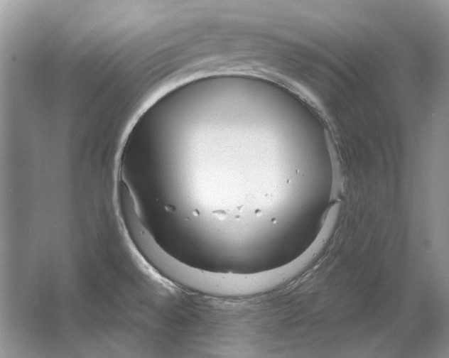 X0000063451528200602171844