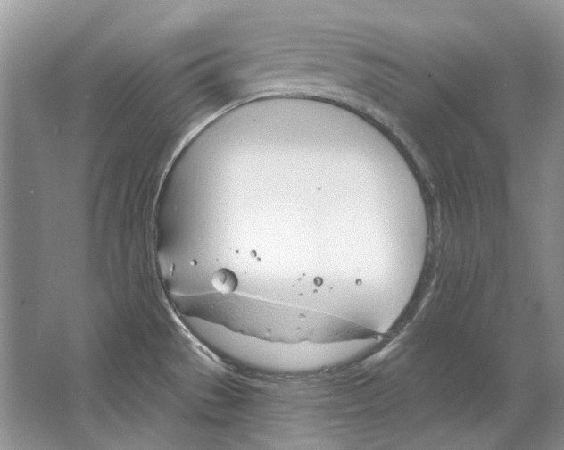 X0000063451529200602171844