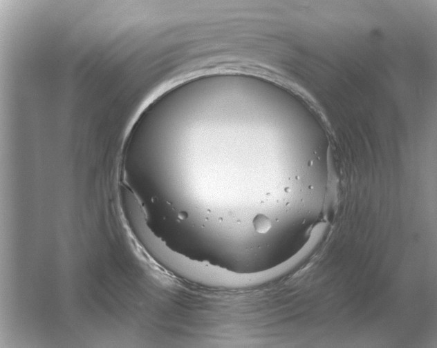 X0000063451530200602171844